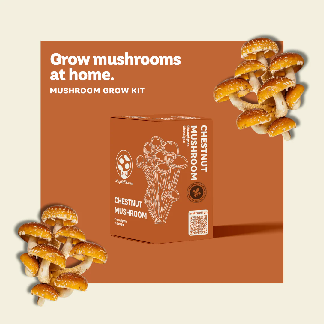 Chestnut Mushroom Kit - Image 3