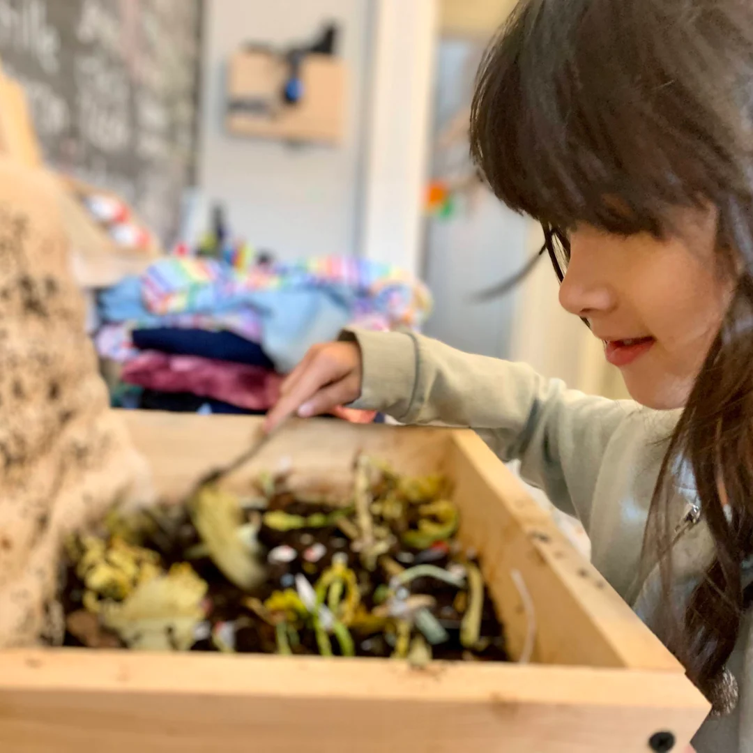 Mini Worm Studio - Image 3