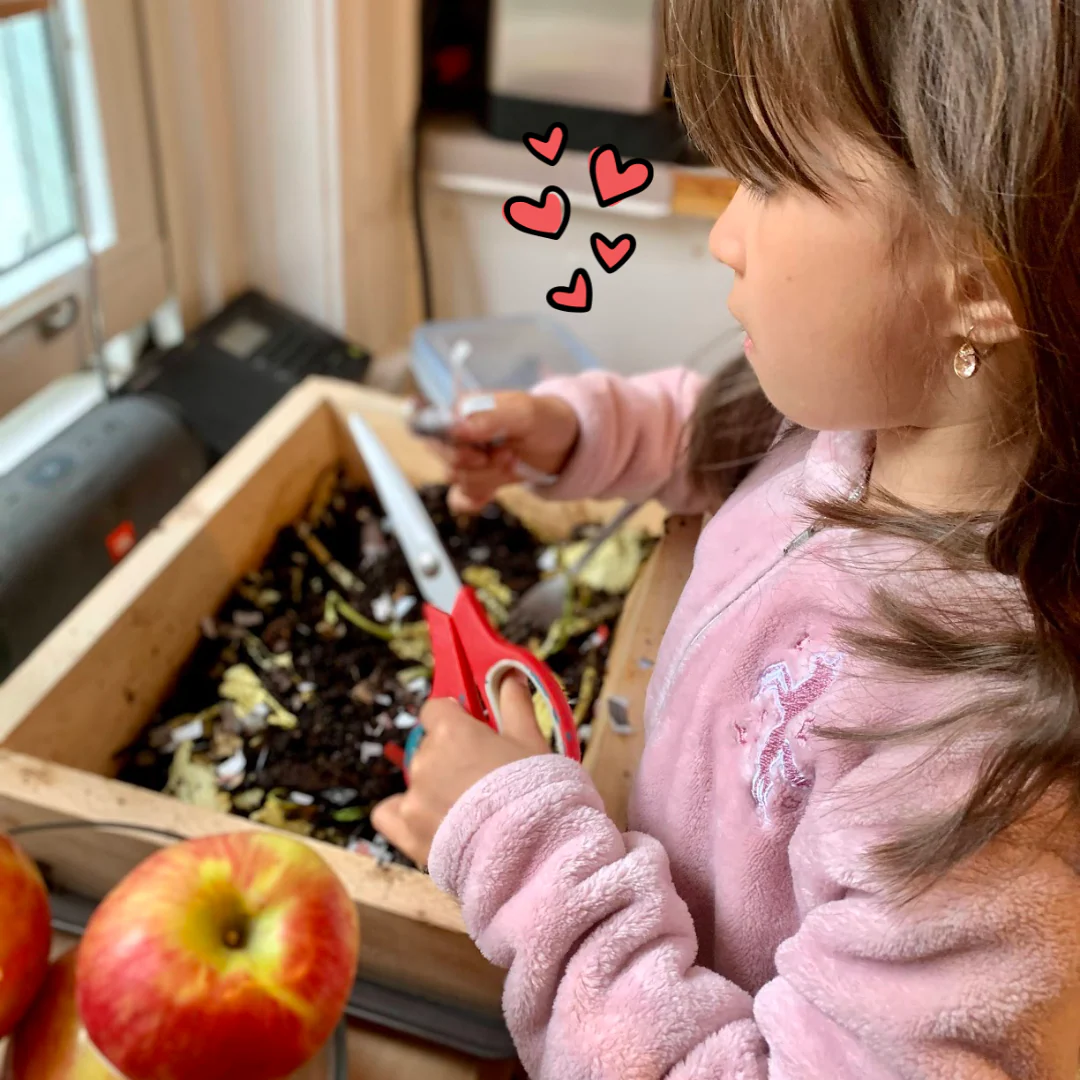 Mini Worm Studio - Image 4