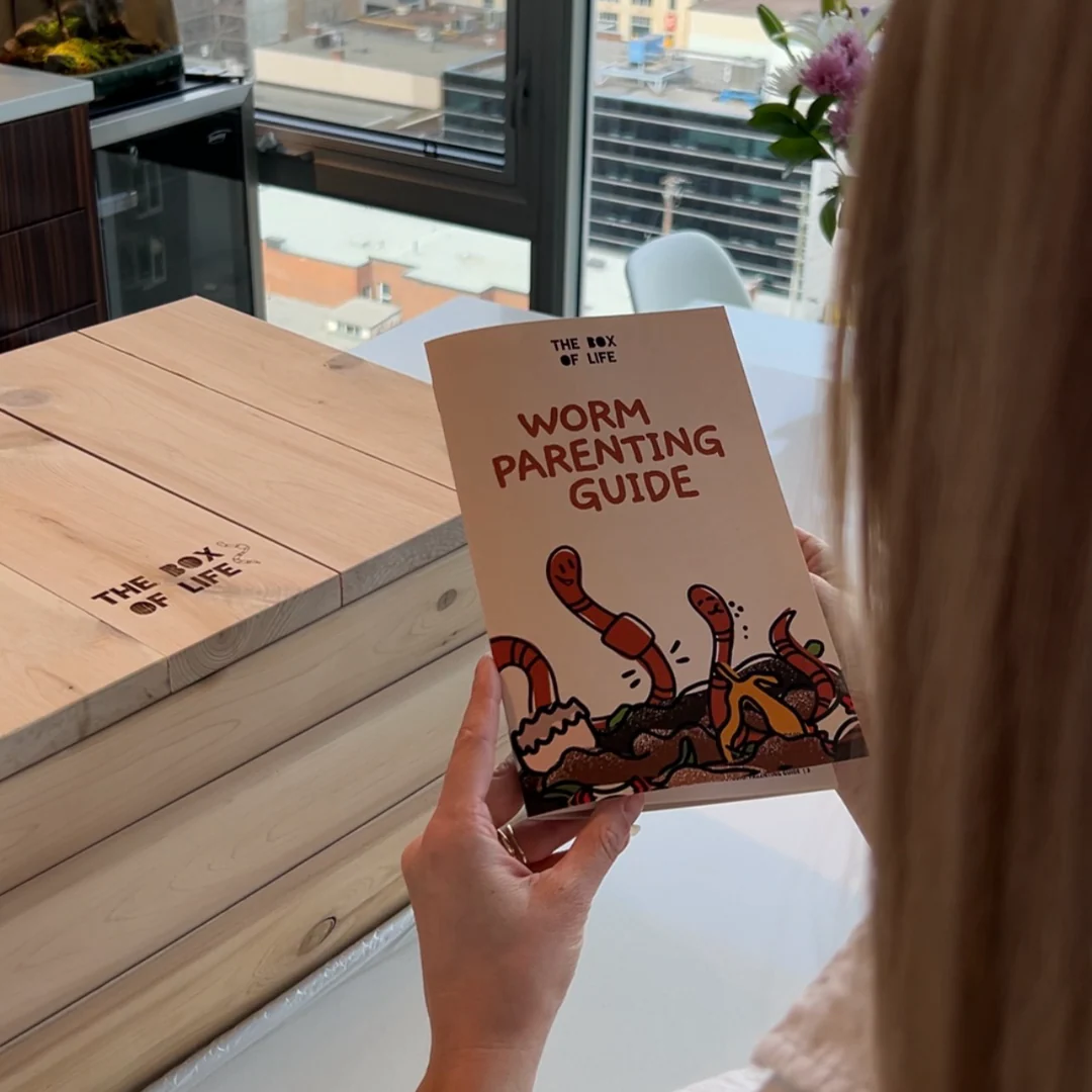 Worm Studio | Wooden Stacking Worm Farm - Image 3