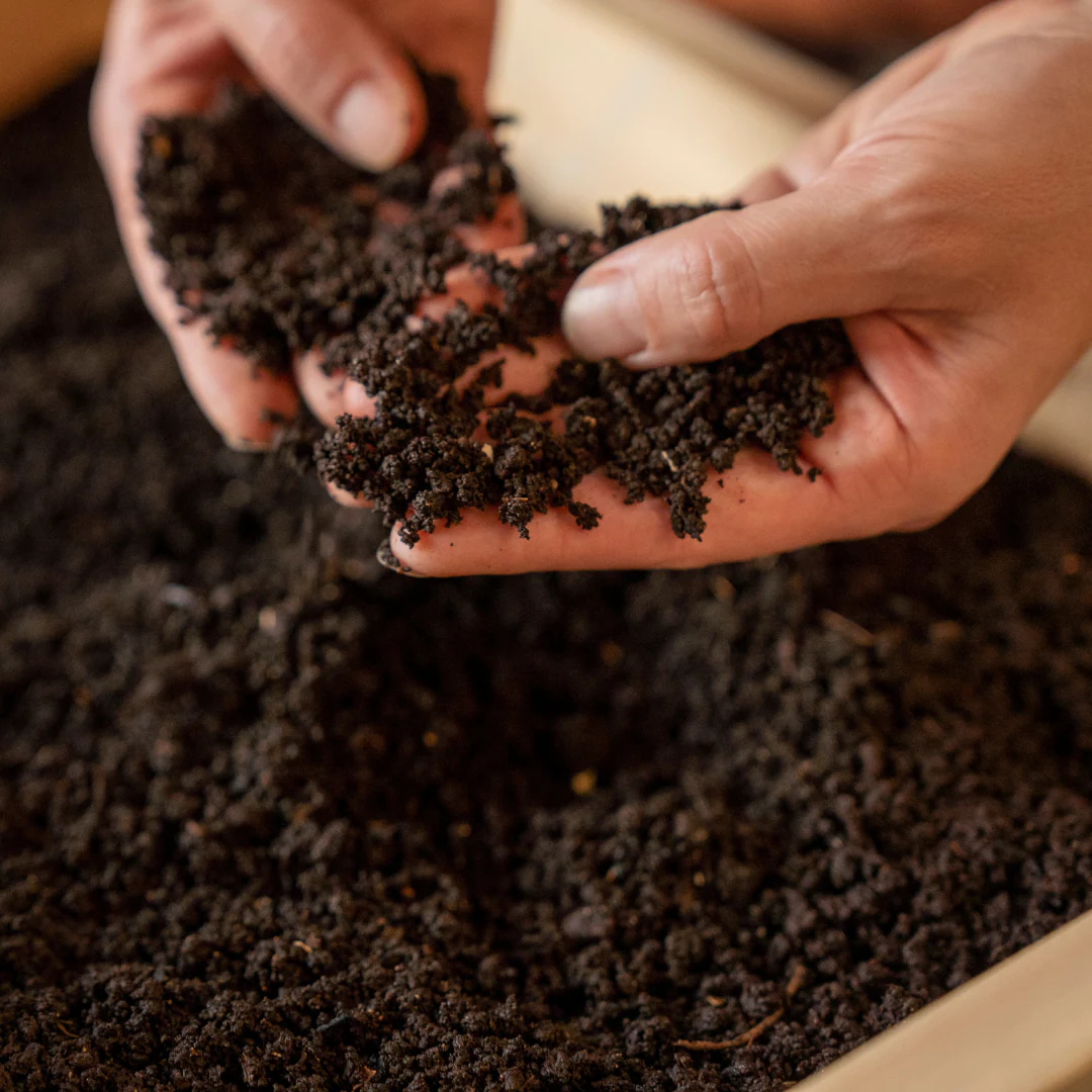 Worm Studio | Wooden Stacking Worm Farm - Image 7